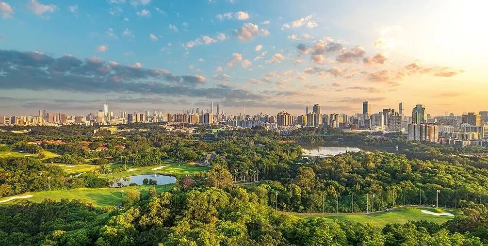 c729ff1fd396ca01f628b21f07dcd82d.jpg c729ff1fd396ca01f628b21f07dcd82d.jpg