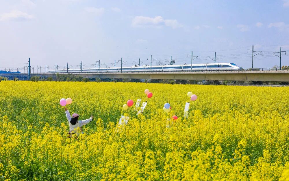 113f043ae92987bc7399e8c5d3736227.jpg 113f043ae92987bc7399e8c5d3736227.jpg