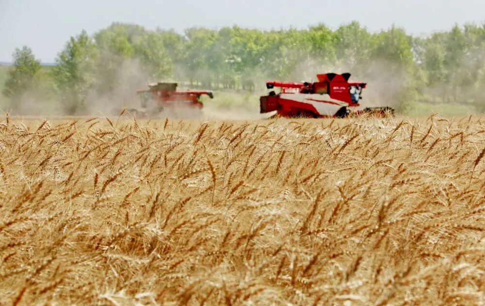 130dae9545b208e9d51b53281ed37b02.jpg 130dae9545b208e9d51b53281ed37b02.jpg