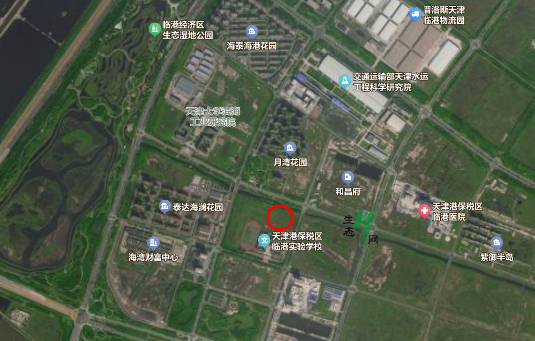 14240aaddfcf97704b7ca2e890aa5a7f.png 14240aaddfcf97704b7ca2e890aa5a7f.png