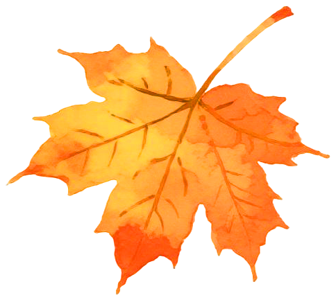28802e6ab64ef6e9508bc3bfe2e9f609.png